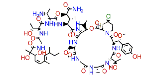 Mirabamide C